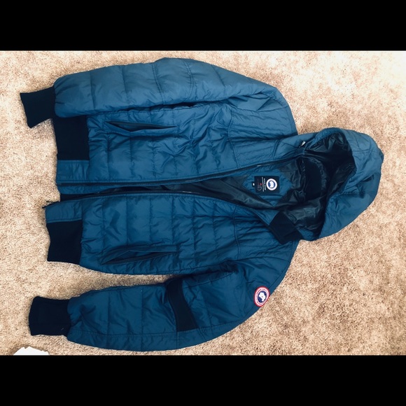 Canada goose cabri